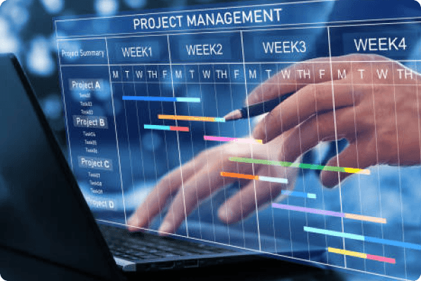 ESG & Sustainability Consulting